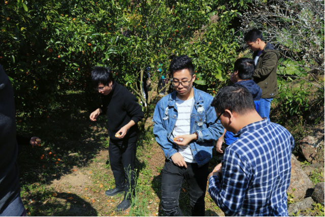 太阳GG·(中国区)官方网站